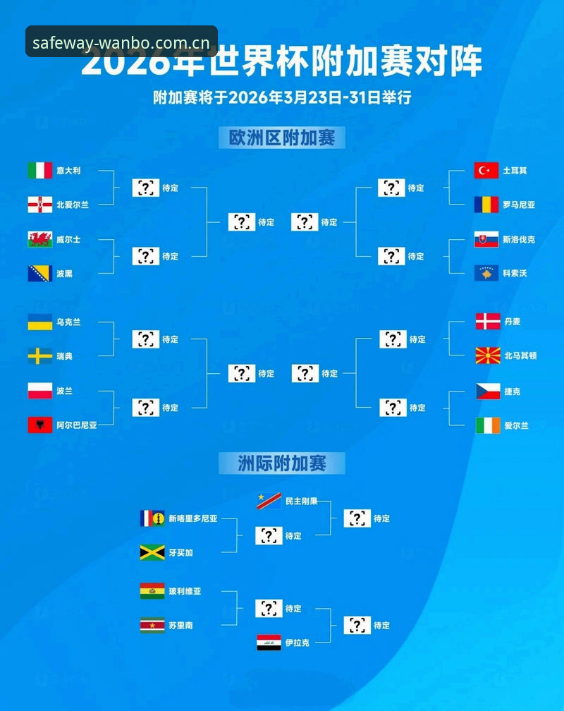 揭秘世界杯“冷场”背后：签证困境如何让球场空座成定局？